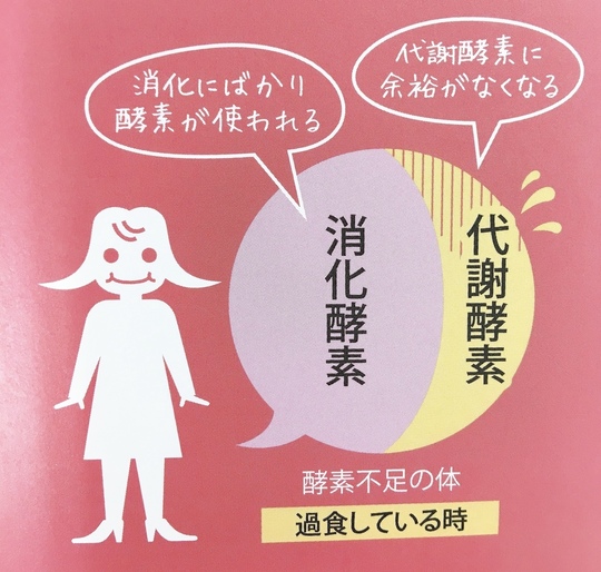 消化酵素と代謝酵素の説明